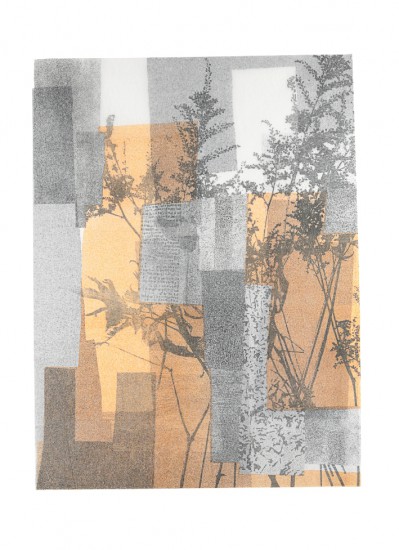 Herbārium V | litography | 56 x 38 cm | 2016